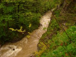 2013-06-01_Regina-F-Rau_Staffelalm_Hochwasser (066).JPG